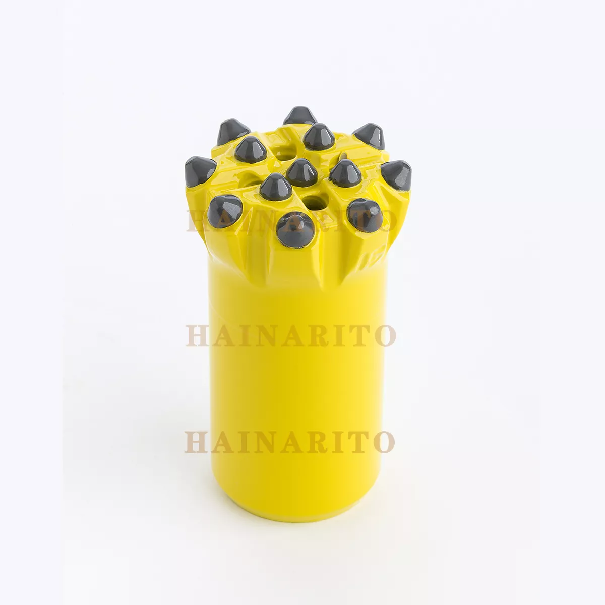 Powerbit T45 with Trubbnos HD buttons